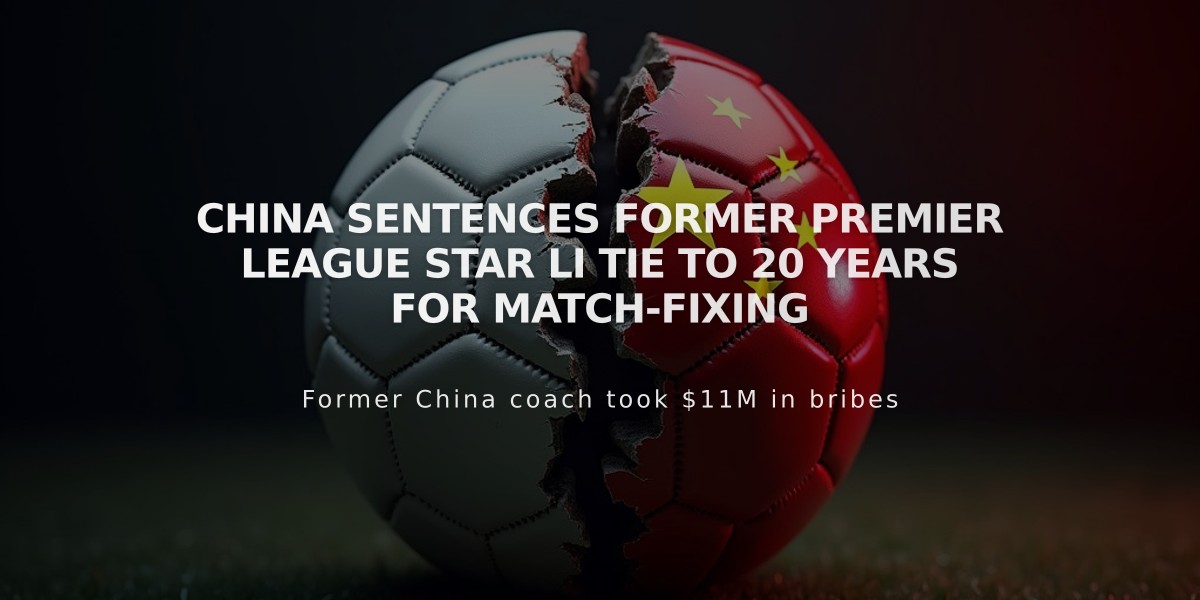 China Sentences Former Premier League Star Li Tie to 20 Years for Match-Fixing