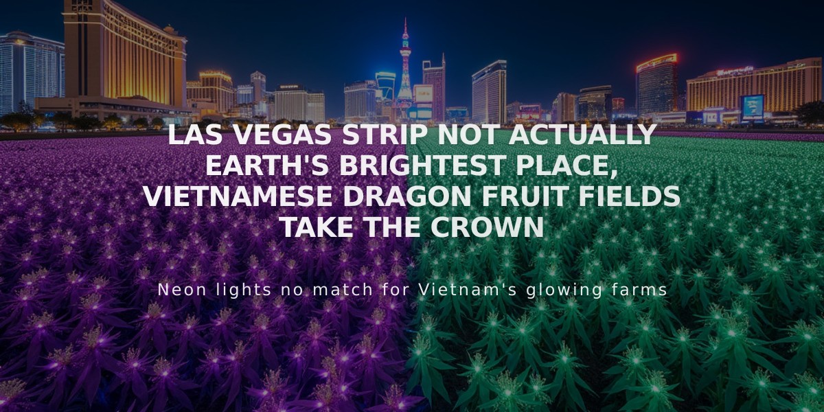 Las Vegas Strip Not Actually Earth's Brightest Place, Vietnamese Dragon Fruit Fields Take the Crown