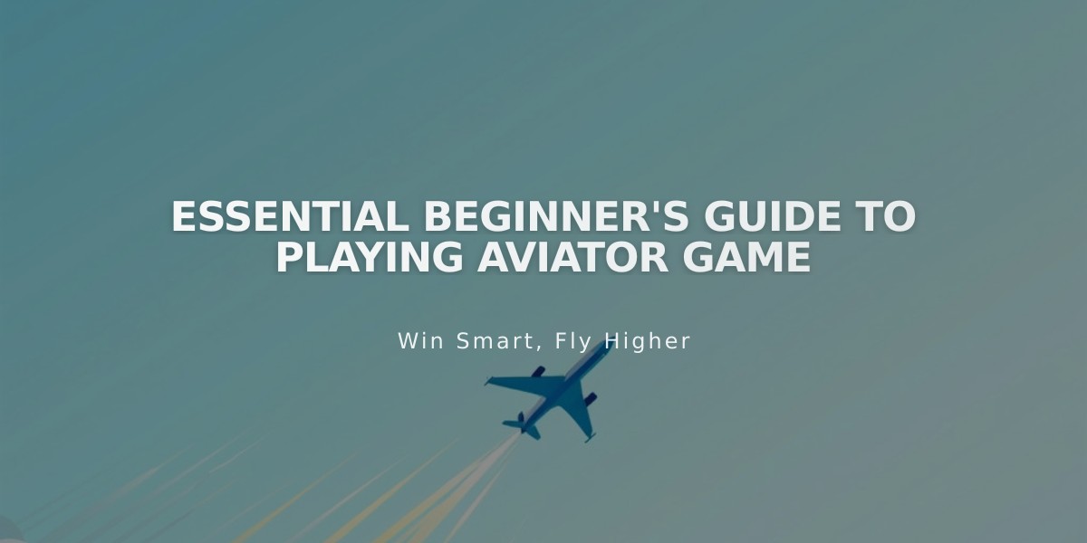 Essential Beginner's Guide to Playing Aviator Game