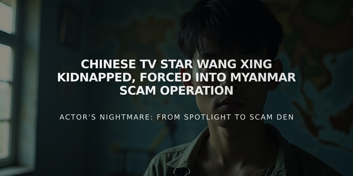 Chinese TV Star Wang Xing Kidnapped, Forced into Myanmar Scam Operation