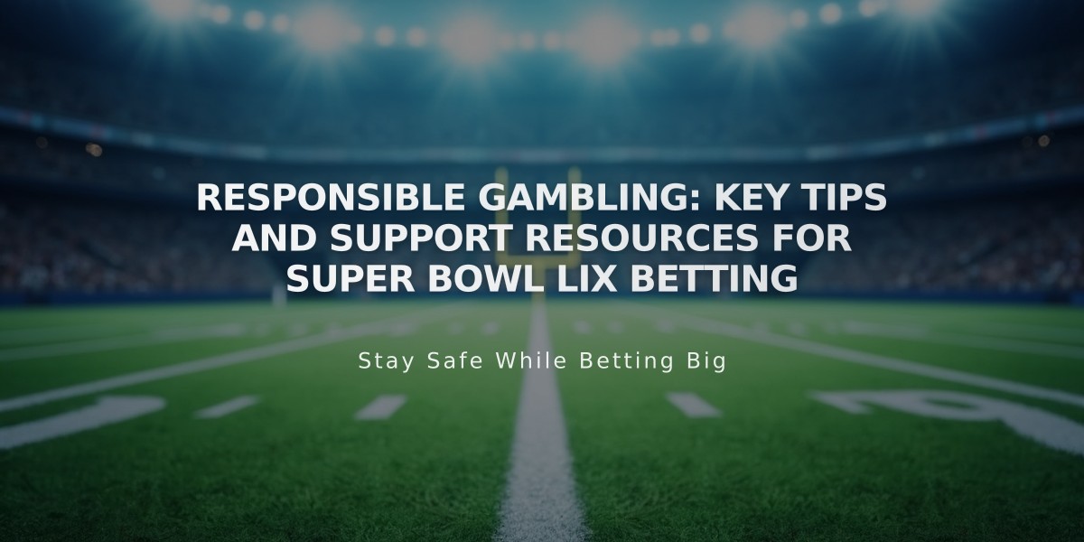 Responsible Gambling: Key Tips and Support Resources for Super Bowl LIX Betting