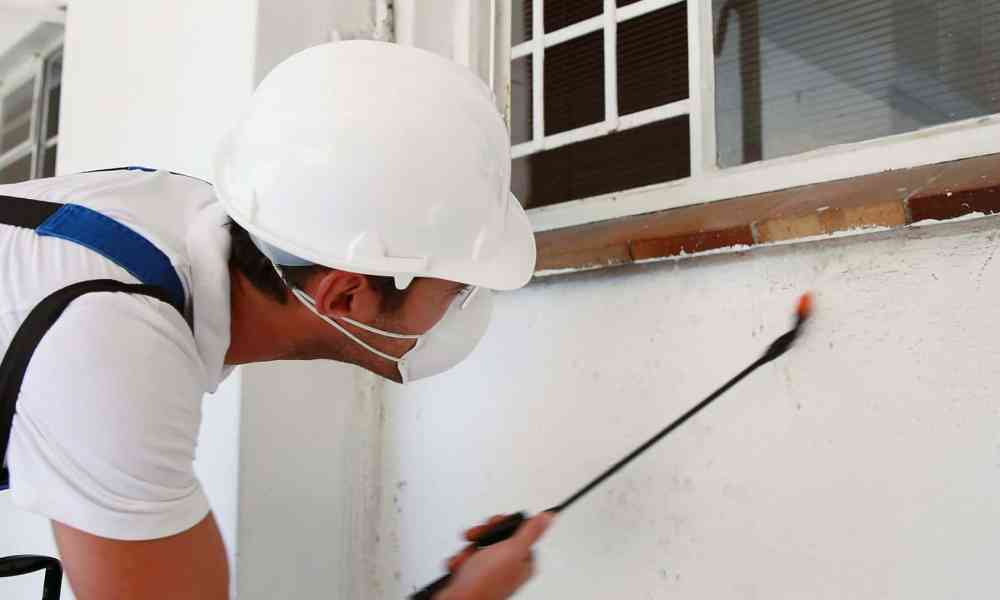 Inspector examines wall during inspection