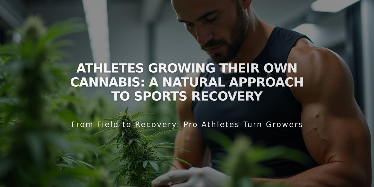 Athletes Growing Their Own Cannabis: A Natural Approach to Sports Recovery